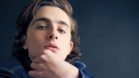 Timothee Chalamet on His Racy Sex Scene in ‘Call Me By Your。